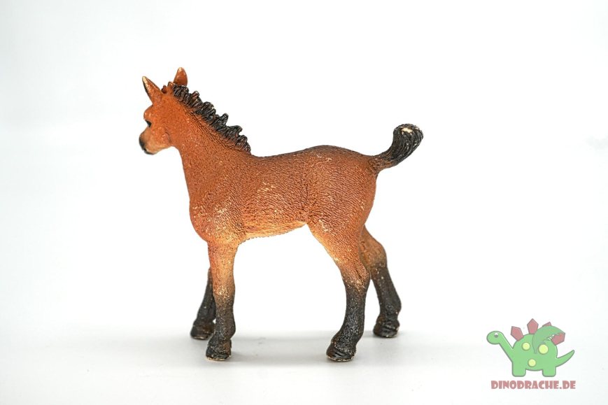 Schleich Quarter Horse Fohlen 13854